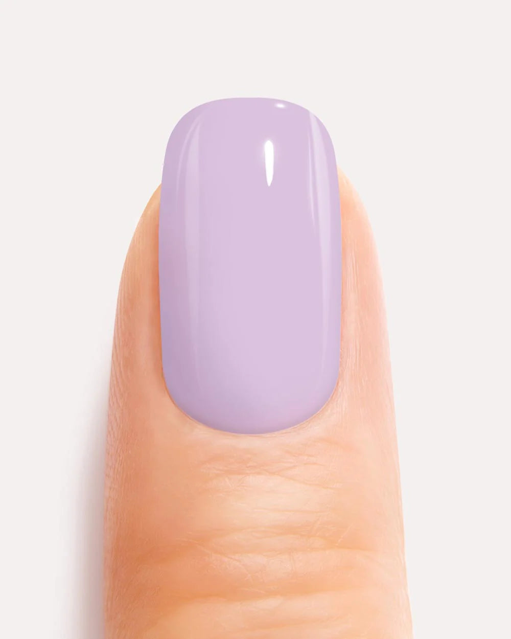 Lavish lavender
